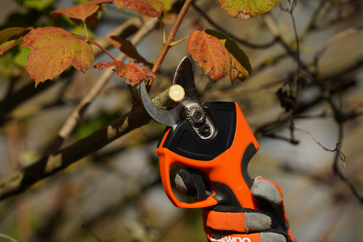 Чистый срез за один прием и без лишних усилий с секатором DAEWOO DAGP 3216Li Set