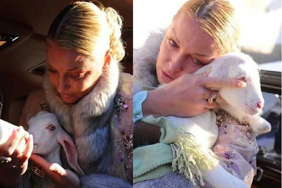 Своего козла Барика Анастасия Волочкова отдала в зоопарк. Фото: kp.ru.