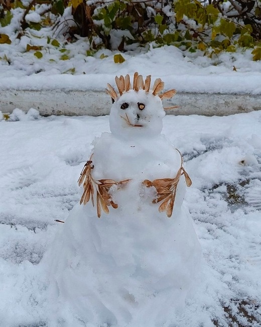  Фото: Алена Абрамова