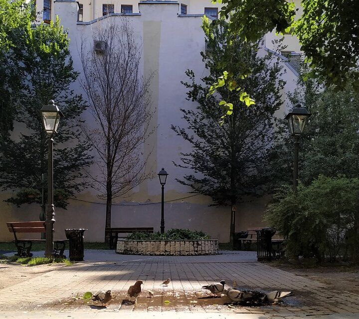 Дмитровский сквер или Эльфийский садик