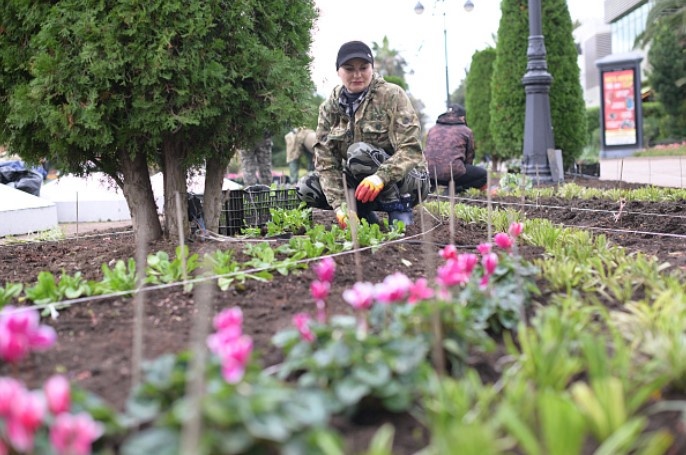    администрация Сочи