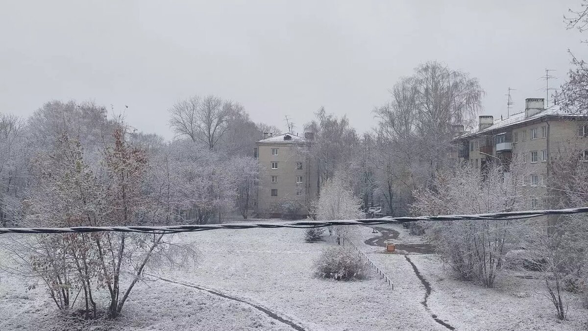     Источник: newsnn.ru