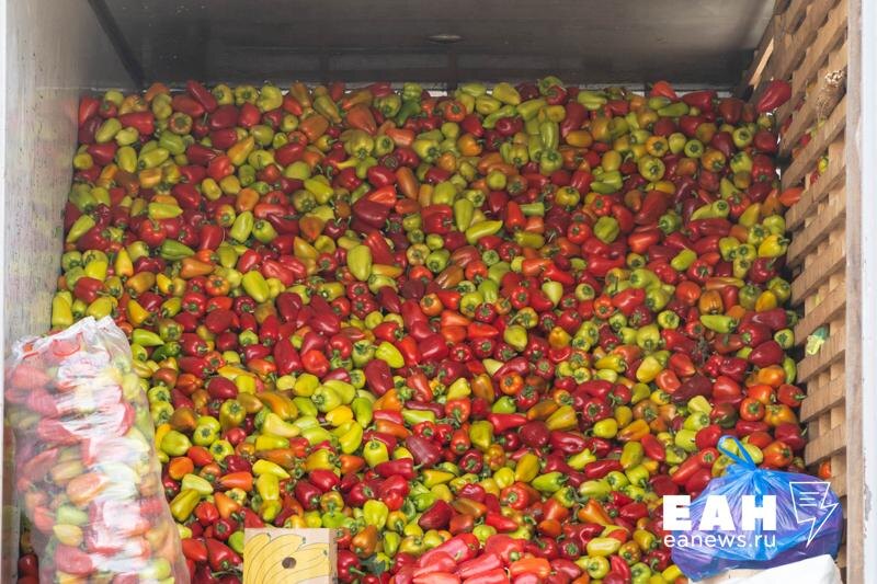    ЕАН / Налоговые послабления ждут сельхозпредприятия Свердловской области