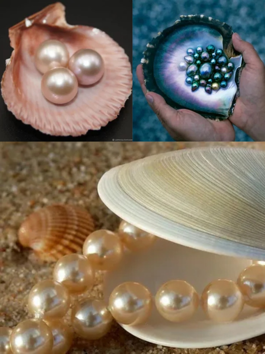 Фотоколлаж автора статьи 