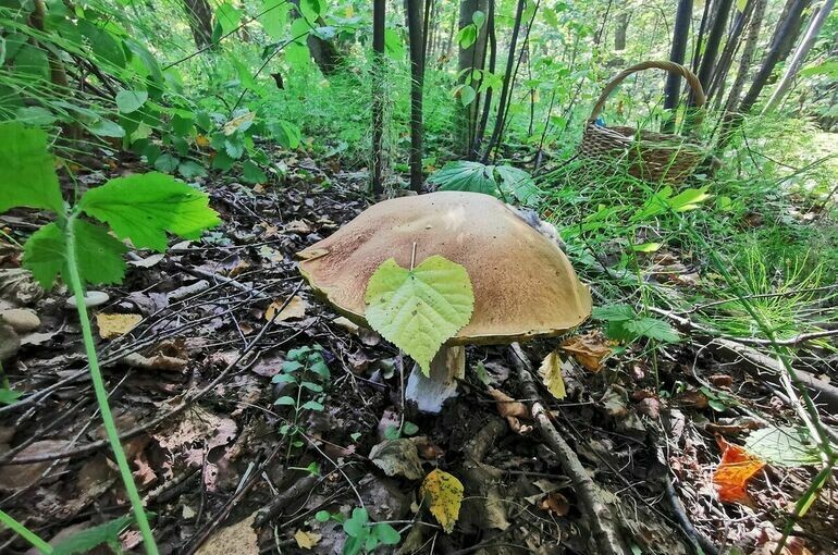   Игорь Самохвалов/ПГ