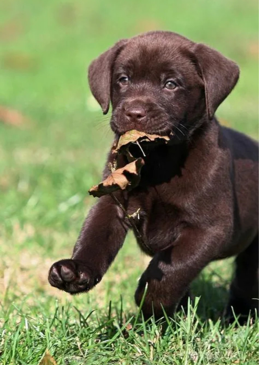 Яндекс.картинки просто для обложки