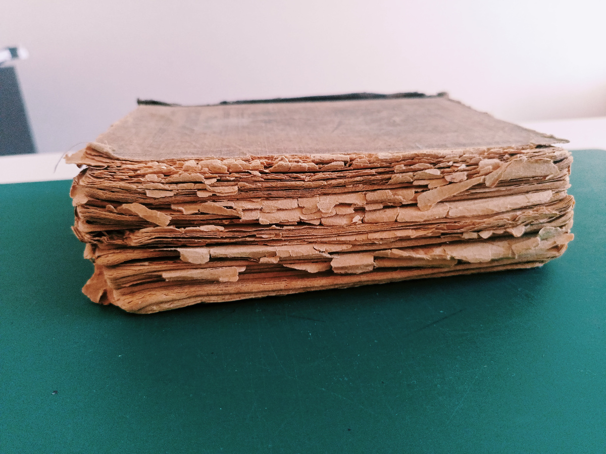 Эта книга называется "ИЗГНАНИЕ ВЛАДЫКИ". 