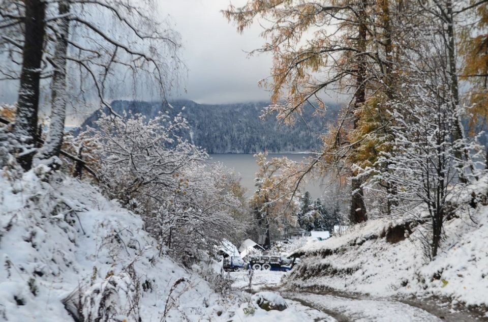    Снег в Алтайском заповеднике. Источник: Олег Митрофанов / Telegram-канал Алтайского заповедника