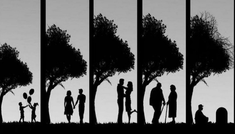 Фото из Яндекса