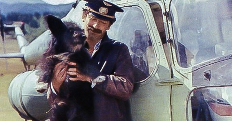 Кадры из х/ф "Мимино" (реж. Г Данелия. 1978 г.)