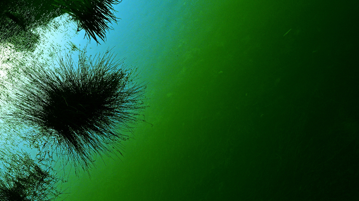 Картинка с бесплатного фотостока https://unsplash.com, автор boris misevic