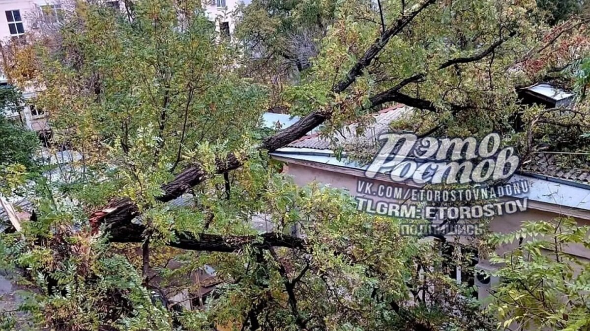     Автор: тг Это Ростов новости Источник: https://t.me/etorostov_chat/2237088