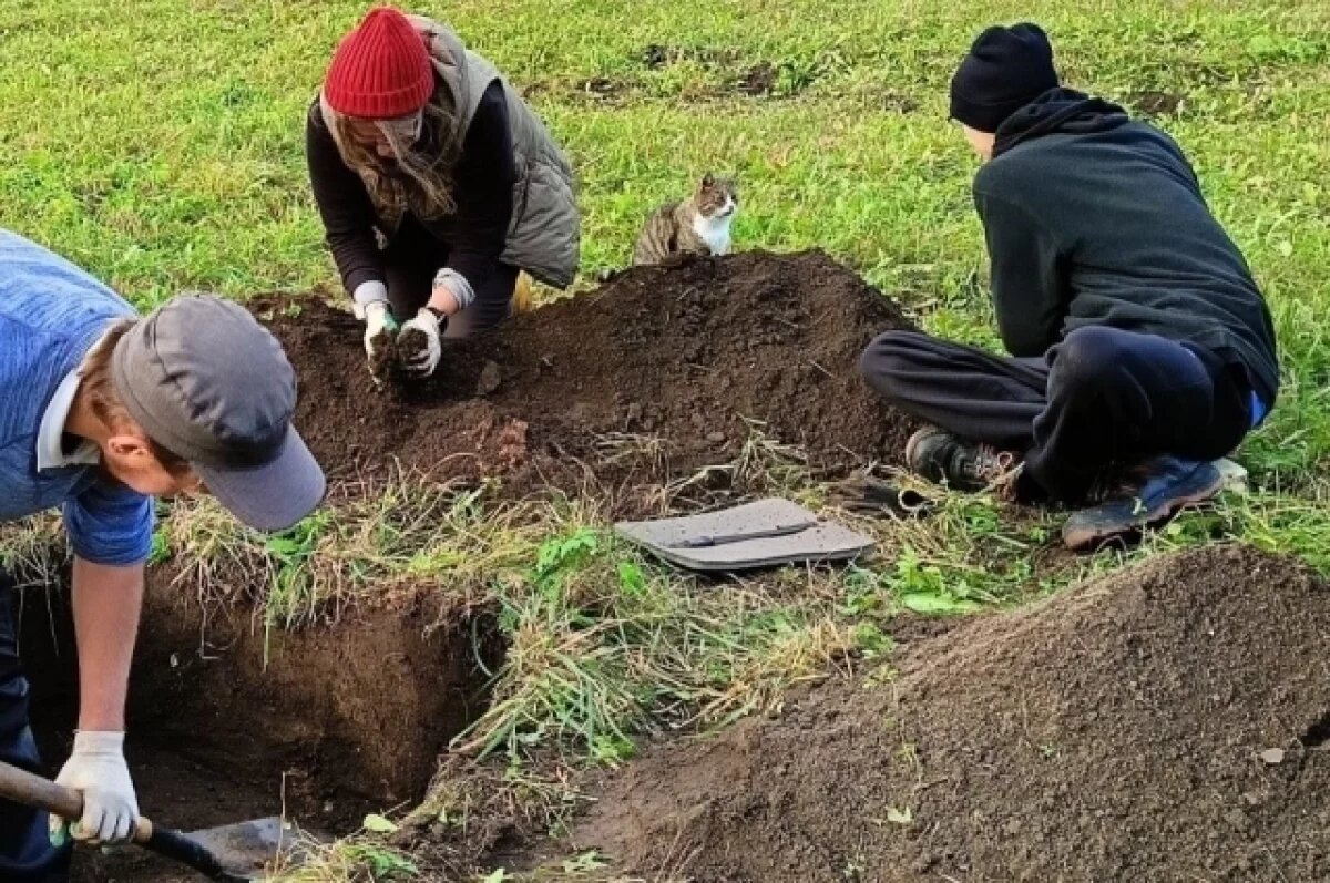    Археологическая разведка завершилась в деревне Печорского района