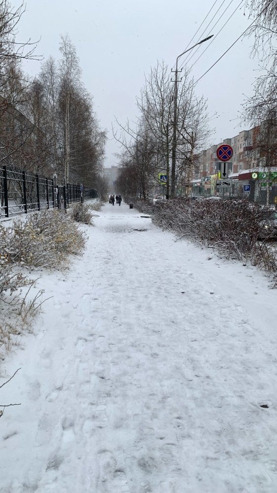    В Сургуте выпал снег