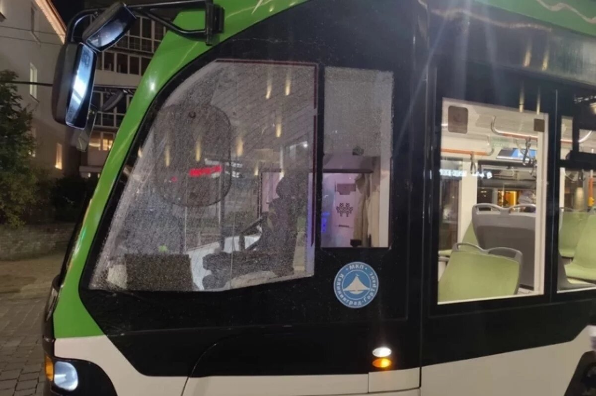    В Калининграде неизвестные обстреляли автобус и трамвай