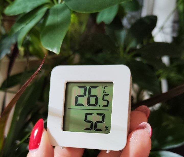 Самый простой гигрометр