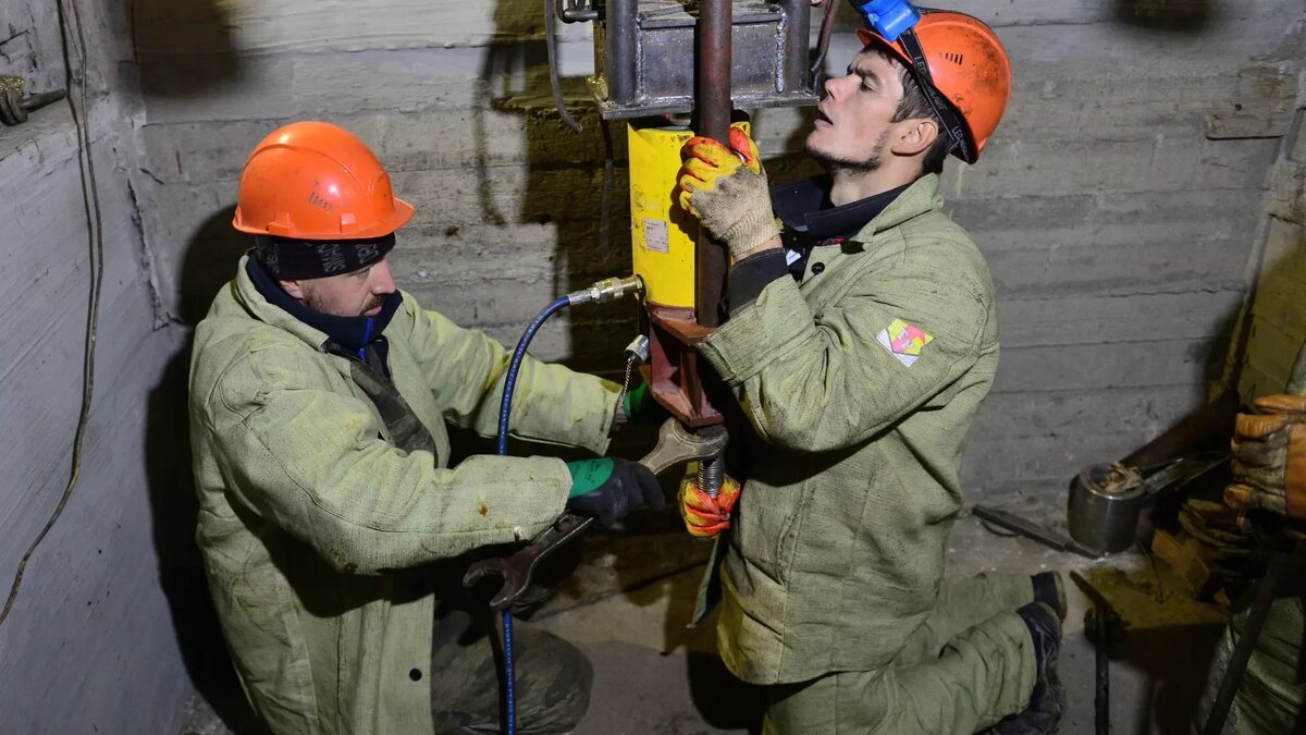     Источник: 1MI