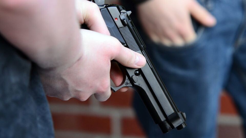    Оружие. Пистолет. Стрельба. Источник: pixabay.com