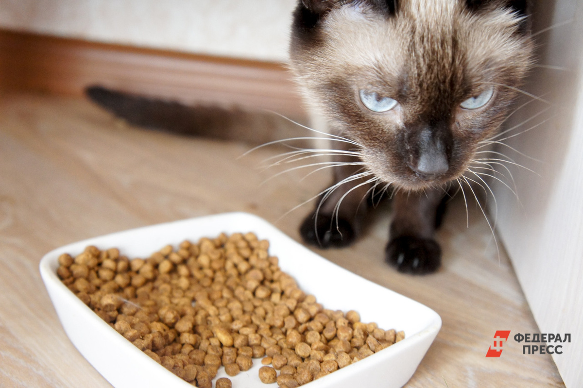 Нарушение было пресечено.  Фото: ФедералПресс / Елена Майорова