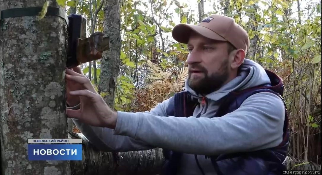 Здесь и далее: скриншот из сюжета телеканала «Первый Псковский»
