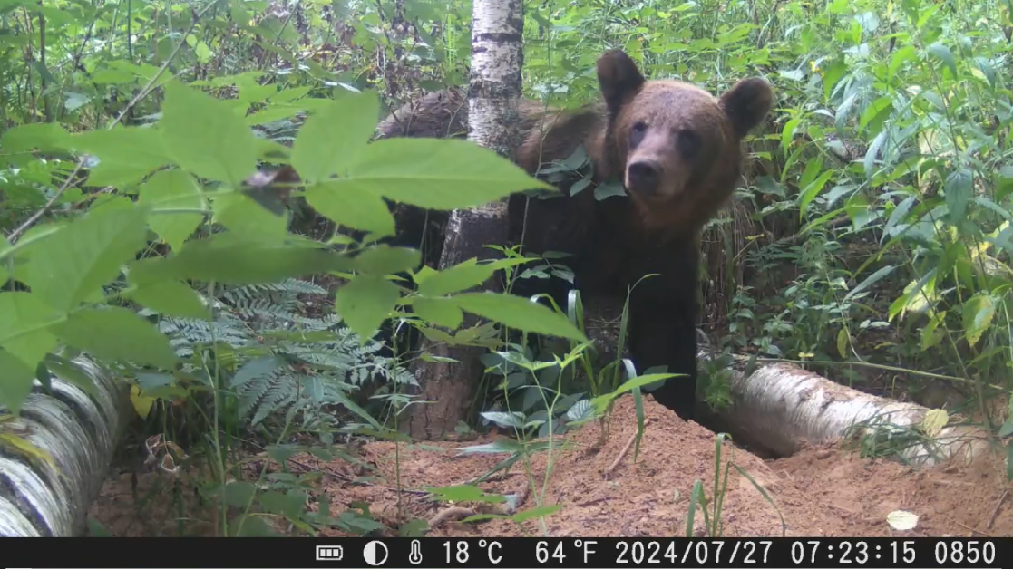 Скриншот видеозаписи из группы «Фотоблог Harrynevelsky» в соцсети «ВКонтакте»