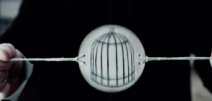 Классический тауматроп, наше время (opticalillusionsportal.com)