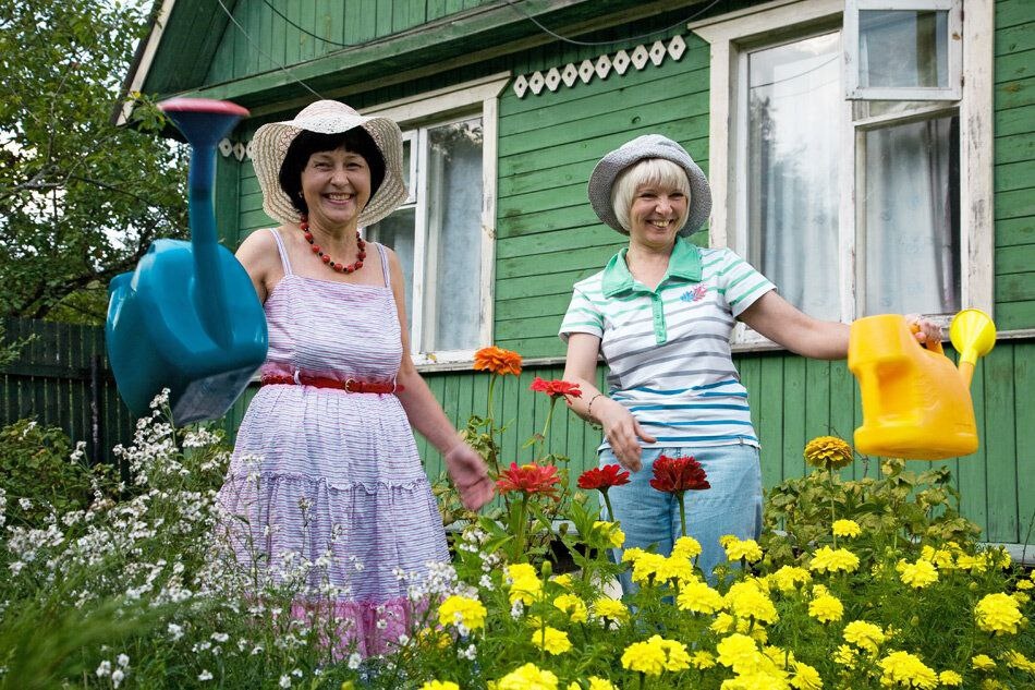 Картинка из интернета для иллюстрации