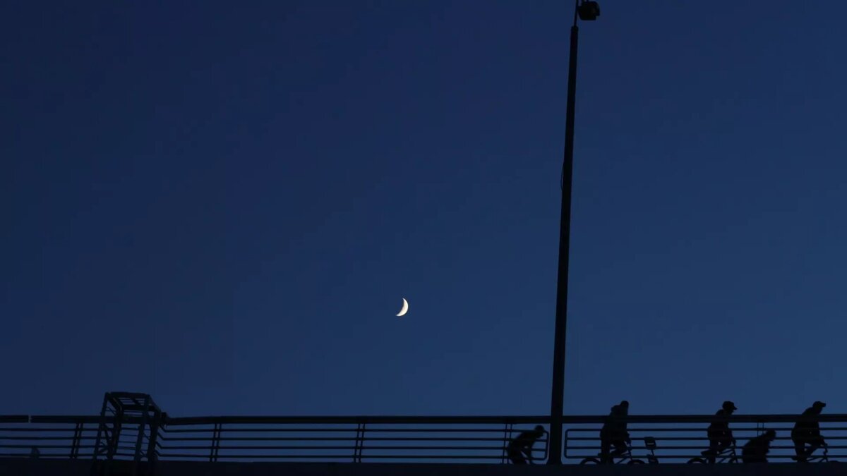     Источник: 1MI