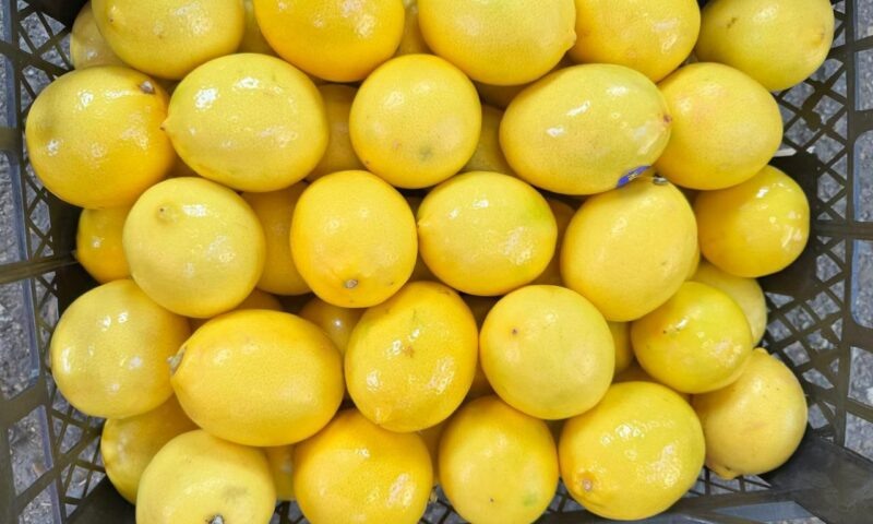    Фото t.me/rsn_yug