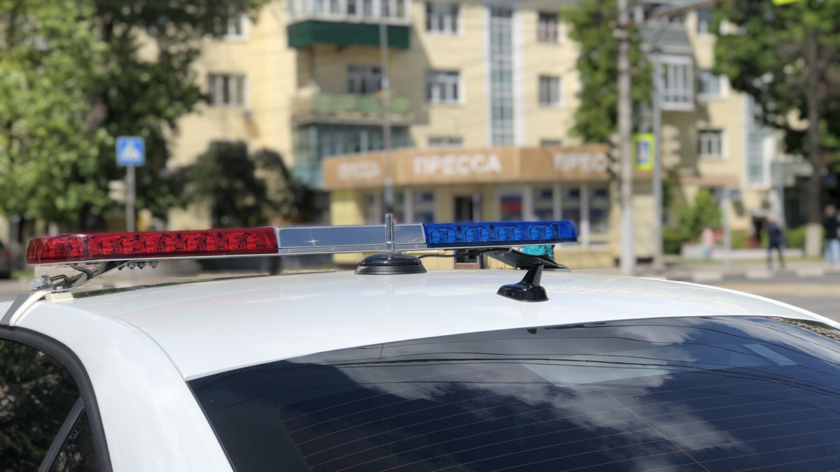 ИА «Тульская пресса»📷
