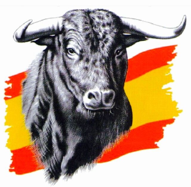 Символ Испании - Бык