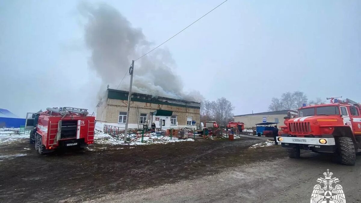     Источник: ГУ МЧС по Новосибирской области