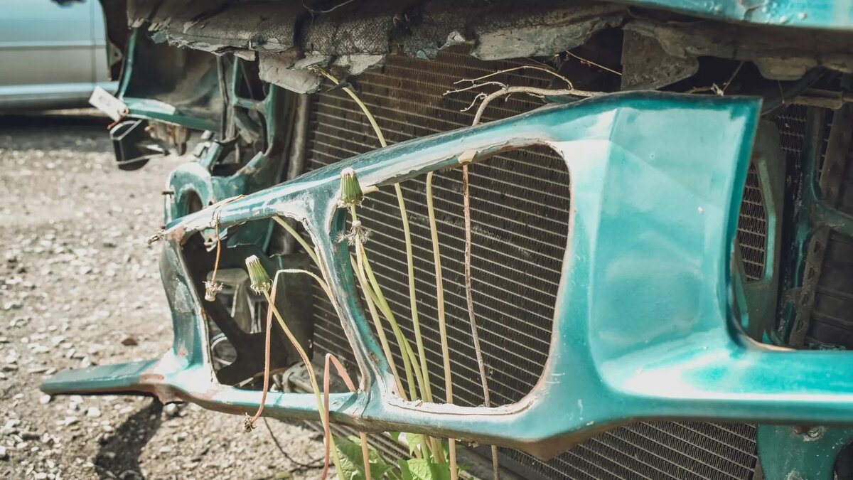     Источник: 1MI