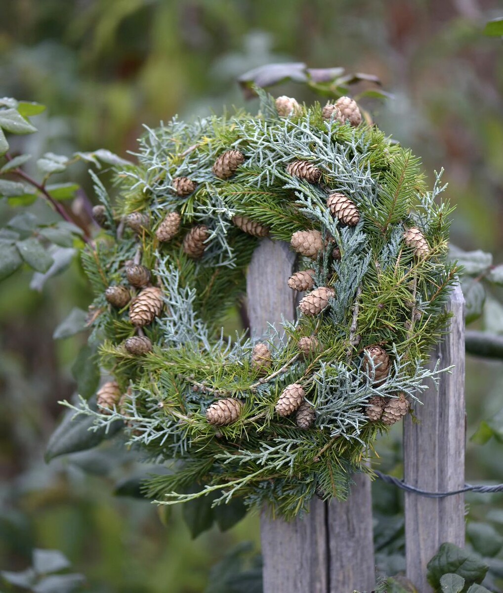    Рождественский  венок из лапника и шишек Соцсети daniela_behr_fotogalerie
