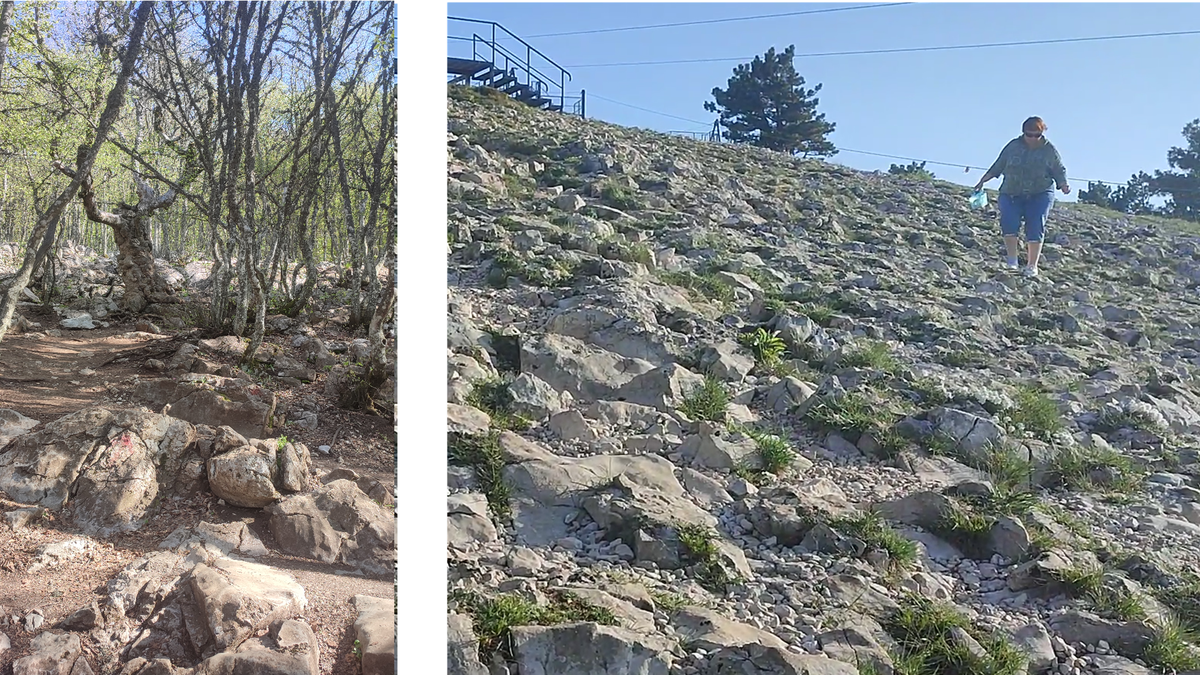 Камни, камни. Сначала превыкаешь. Иногда подъём крутой, на фото справа  видно перепад высоты. Я просто стояла ниже, реально подъём иногда напоминал  каменистую лестницу.