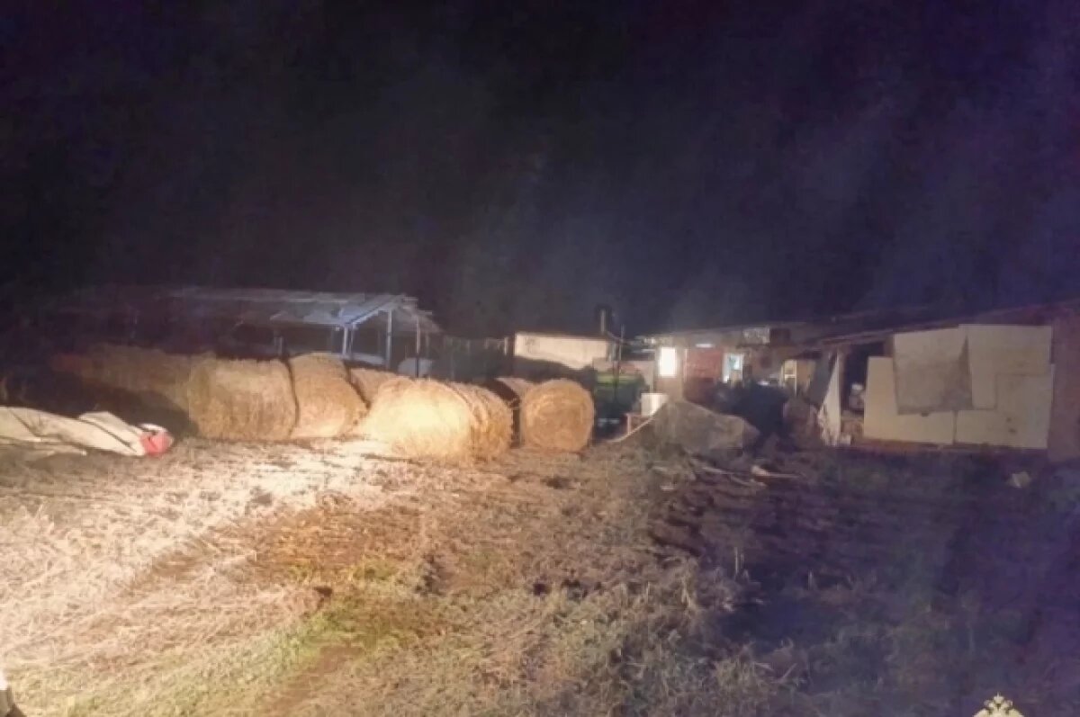    В Тверской области супружеская пара украла у фермера 46 рулонов сена