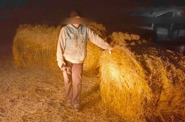    Фото: пресс-служба УМВД по Тверской области