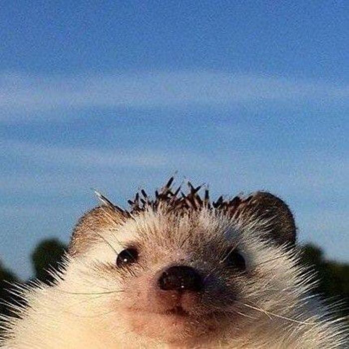 Источник фото: Пресс-служба ЮФУ