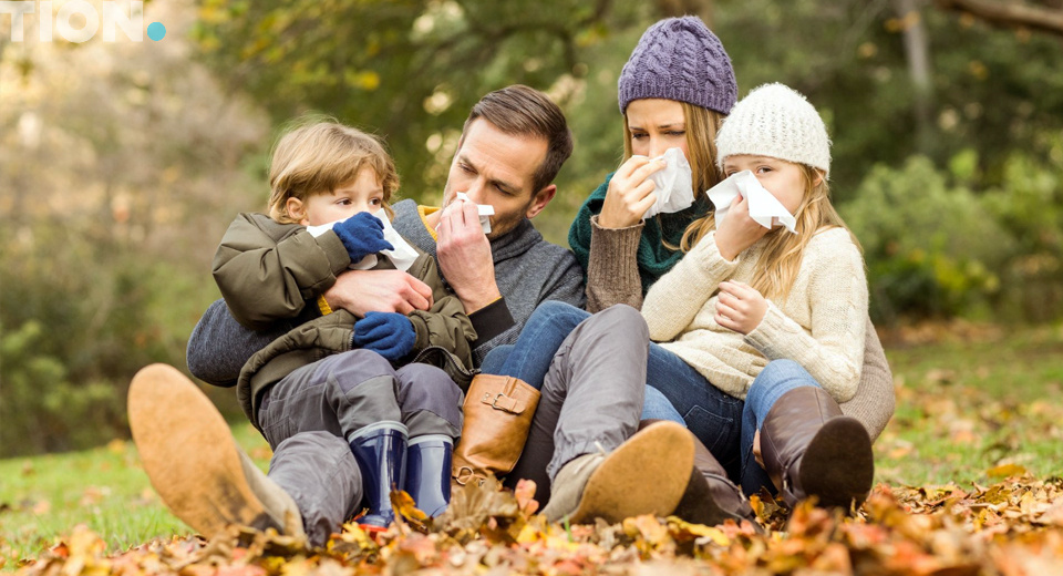 Фото взято из Интернета 