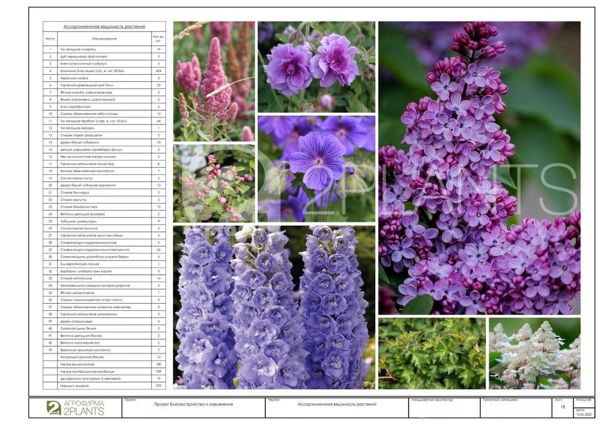Ассортиментная ведомость растений 