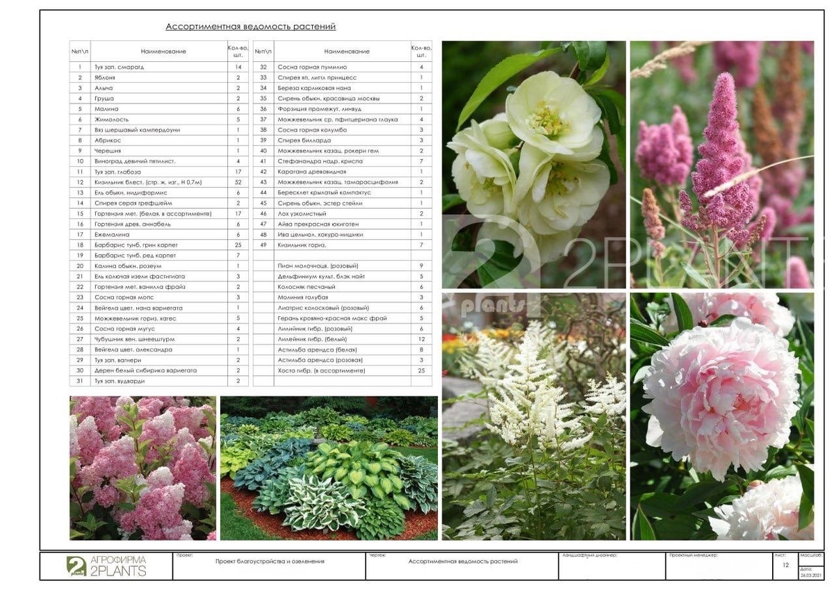 Ассортиментная ведомость растений