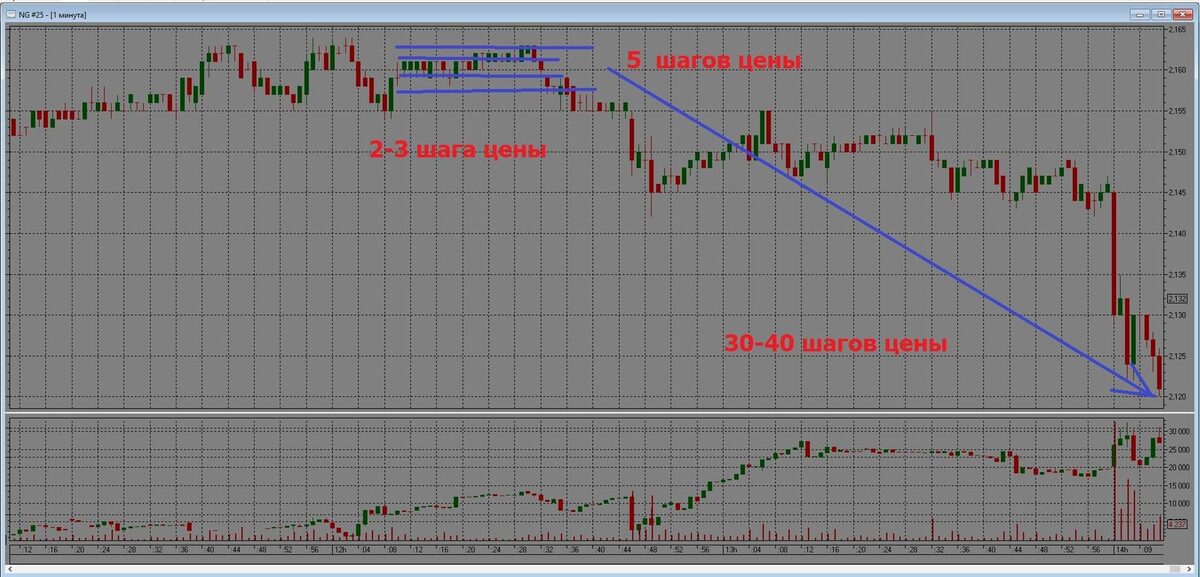 Торговое поведение фьючерса Ng