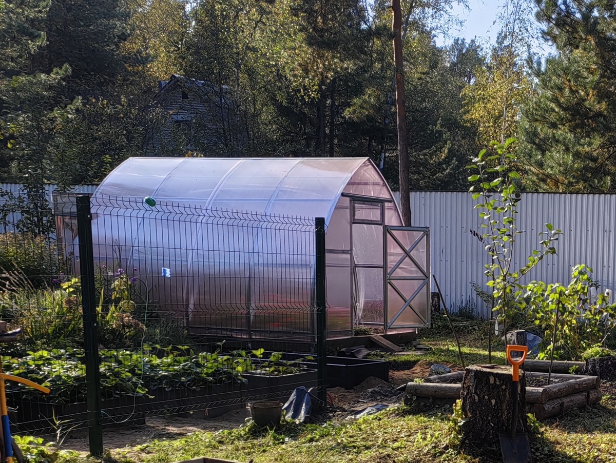 Новая теплица распахнула двери. 