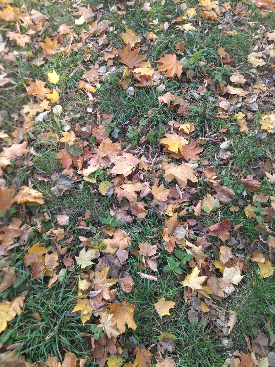 Фото автора, для обложки)