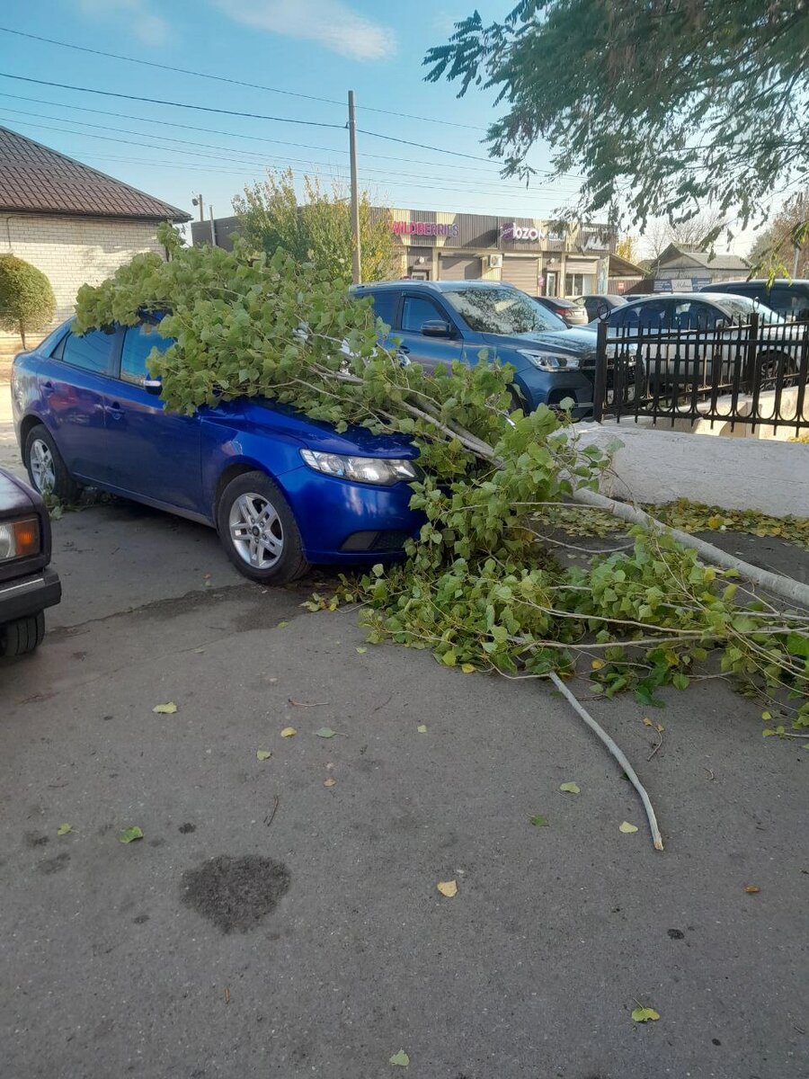    Фото: Telegram/ Волгоград в курсе