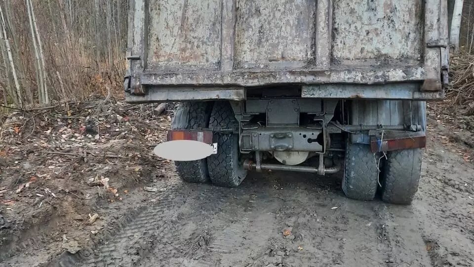     Источник: Госавтоинспекция Петрозаводска / vk