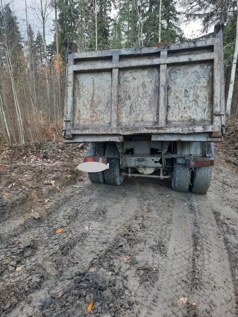     Источник: Госавтоинспекция Петрозаводска / vk