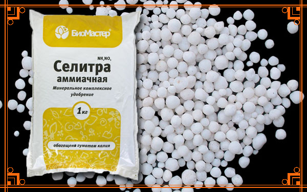 Фото из Интернета. Аммиачная селитра