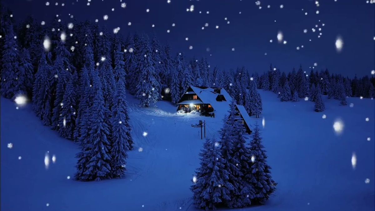 Фото взято из Интернета 