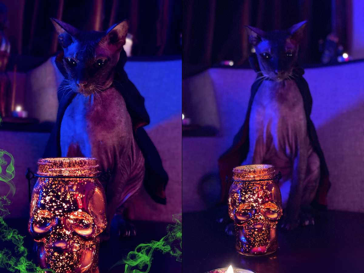 Космокот в образе КосмоДракулы